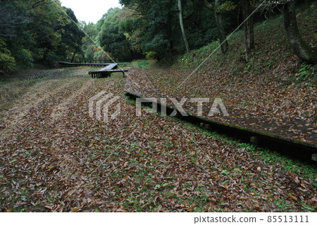 深秋的公園長廊上堆積著赤櫟落葉 85513111