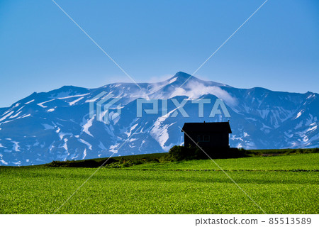 Scenery of Biei Scenery of Biei 85513589