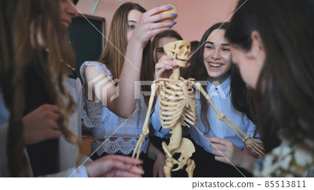 Cheerful students examine the human skeleton in the classroom. 85513811