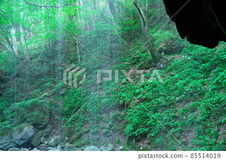The flow of water from Iwai Water Falls seen from the back 3 Kagamino Town, Tomata District, Okayama Prefecture The flow of water from Iwai Water Falls seen from the back 3 Kagamino Town, Tomata District, Okayama Prefecture 85514019