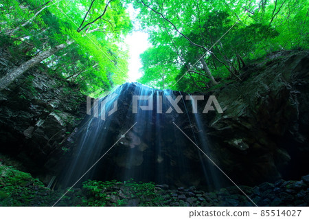 Looking up at Iwai Water Falls 7 Kagamino Town, Tomata District, Okayama Prefecture 85514027