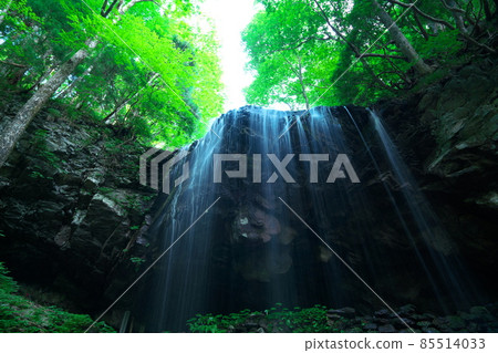 Looking up at Iwai Water Falls 1 Kagamino Town, Tomata District, Okayama Prefecture 85514033
