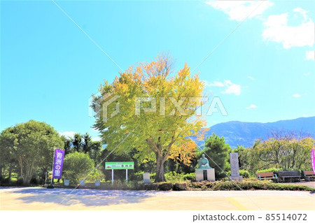 Road Station Seishu no Sato Road Station Seishu no Sato 85514072
