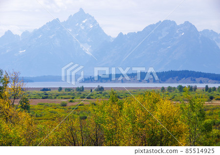 View of Grand Teton from the Willow Flats Observatory in Grand Teton National Park View of Grand Teton from the Willow Flats Observatory in Grand Teton National Park 85514925