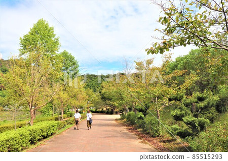 道路站 色里里公園 85515293