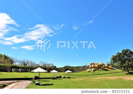 Road Station Shikinosato Park 85515331