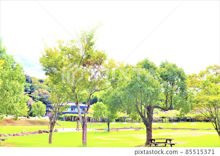 Road Station Shikinosato Park Road Station Shikinosato Park 85515371