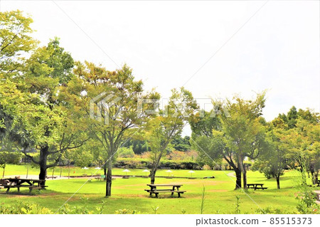 道路站 色里里公園 85515373