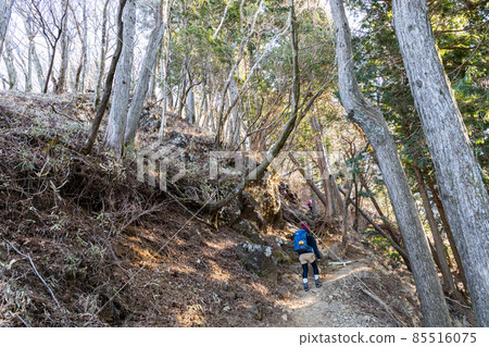 Woman walking on a mountain trail Woman walking on a mountain trail 85516075