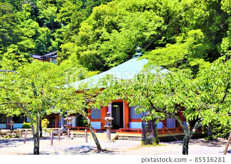 Kurama Temple Kurama Temple 85516281