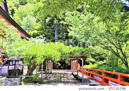 庫拉瑪寺 庫拉瑪寺 85516296