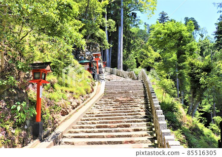 庫拉瑪寺 85516305