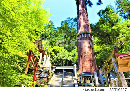 庫拉瑪寺 庫拉瑪寺 85516327