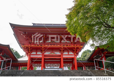 近江神社秋葉 近江神社秋葉 85516375