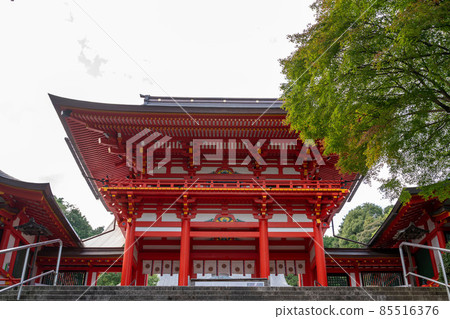 近江神社秋葉 近江神社秋葉 85516376