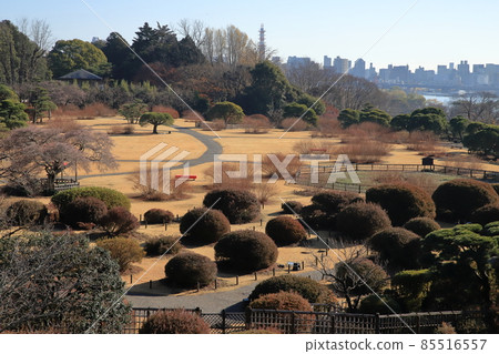 Mito Kairakuen in early winter 85516557