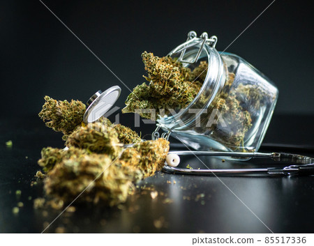 legal cannabis plants research and use for medical purposes of treating diseases with natural remedies legal cannabis plants research and use for medical purposes of treating diseases with natural remedies 85517336