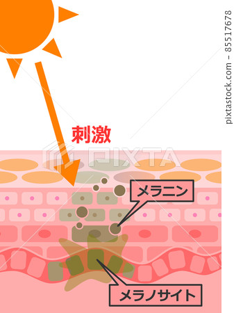 Cross-sectional structure that causes skin troubles when stimulated by sunlight Cross-sectional structure that causes skin troubles when stimulated by sunlight 85517678