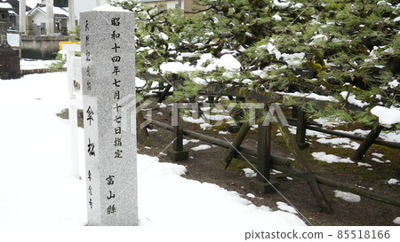 冬天仙年寺的唐笠松石碑（富山縣出水市，2022年1月拍攝） 85518166