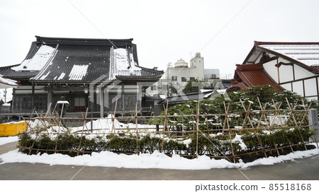 冬天的唐笠松和千年寺（富山縣水市，2022年1月拍攝） 85518168