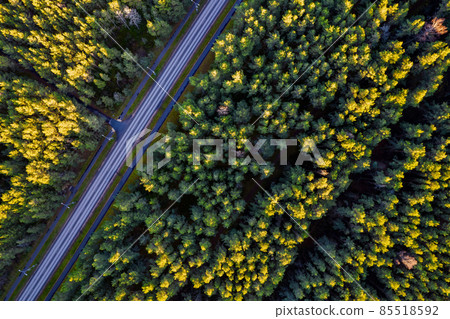 Aerial view from drone of concrete road leading through autumn dense forests and groves in yellow green colors. Trees in golden time and empty highway in fall season. Roadway among colorful treetops Aerial view from drone of concrete road leading through autumn dense forests and groves in yellow green colors. Trees in golden time and empty highway in fall season. Roadway among colorful treetops 85518592