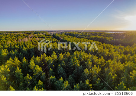Above aerial shot of green pine forests and yellow foliage groves with beautiful texture of golden treetops. Beautiful fall season scenery in evening. Mountains in autumn colors in golden time Above aerial shot of green pine forests and yellow foliage groves with beautiful texture of golden treetops. Beautiful fall season scenery in evening. Mountains in autumn colors in golden time 85518606