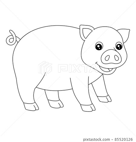 Pig Coloring Page Isolated for Kids 85520126