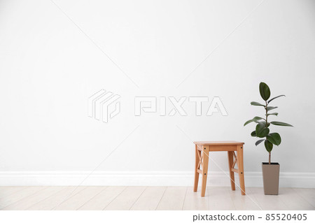 Ficus and stool near white wall, space for text. Home plants 85520405