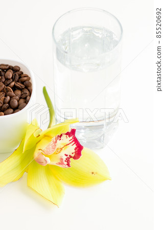 Cup of coffee beans and glass of water with yellow orchid flower against a white background. Cup of coffee beans and glass of water with yellow orchid flower against a white background. 85520692