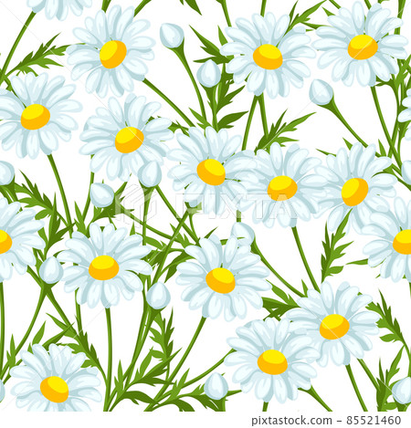 Seamless pattern with chamomiles flowers. Beautiful decorative spring plants. Seamless pattern with chamomiles flowers. Beautiful decorative spring plants. 85521460