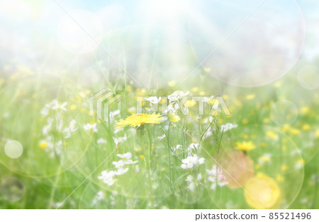 Spring background with sun bean and blue sky 85521496