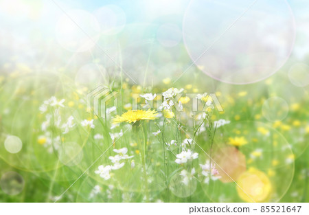 Spring background 85521647