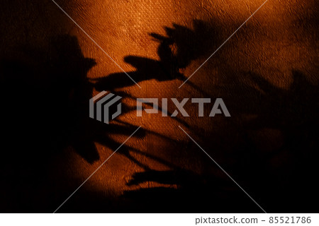 Floral shadows on the wall in sunset orange light Floral shadows on the wall in sunset orange light 85521786