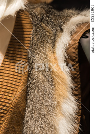 The main element of clothing is the skin of a fox. Natural fur. Clothes in yellow and orange, mustard tones. Trendy color in clothes. Exquisite toilet. Luxury quality of expensive clothes. A The main element of clothing is the skin of a fox. Natural fur. Clothes in yellow and orange, mustard tones. Trendy color in clothes. Exquisite toilet. Luxury quality of expensive clothes. A 85521905