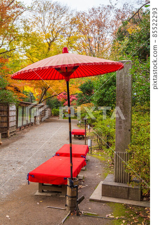 東京六義園秋葉園,日本傘 東京六義園秋葉園,日本傘 85522293