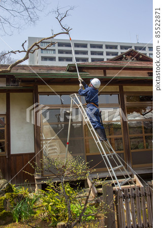 female gardener sawing branches in the park Koshikawa Korakuen female gardener sawing branches in the park Koshikawa Korakuen 85522871