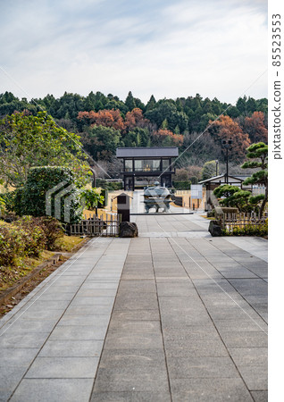 Ushiku Buddha approach 85523553