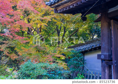 一座寺廟 85523736