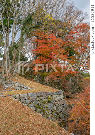 Takatorijo Takatorijo 85523911