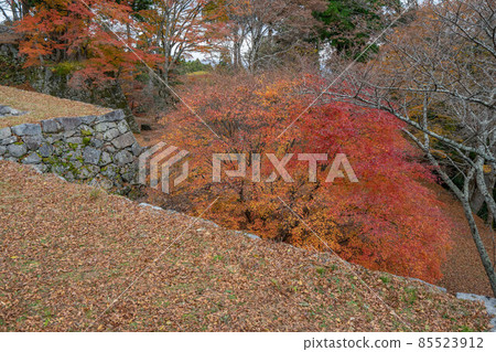 Takatorijo Takatorijo 85523912