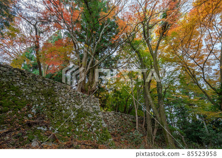 Takatorijo Takatorijo 85523958