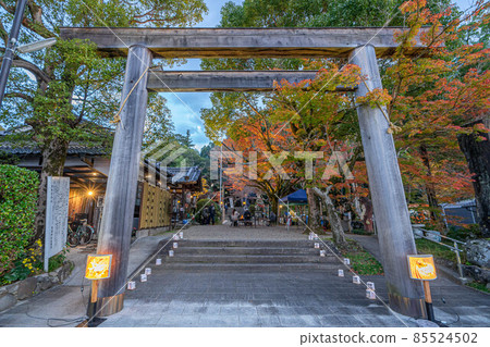 丫丫神社 丫丫神社 85524502