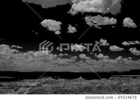 Petrified Forest 85524678