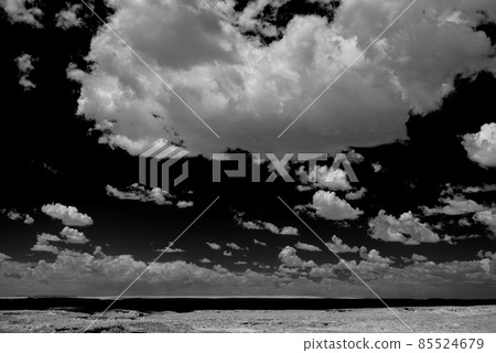 Petrified Forest 85524679