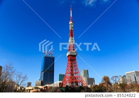 從東京芝公園看到的東京塔和虎之門/麻布台再開發 從東京芝公園看到的東京塔和虎之門/麻布台再開發 85524822
