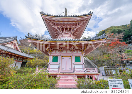 Tsubosakatera 85524864