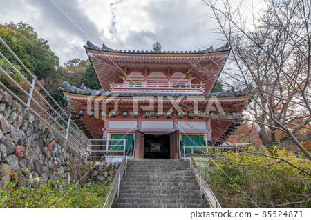 Tsubosakatera 85524871
