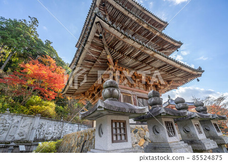 Tsukasakiji 85524875