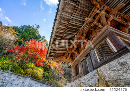 Tsukasakiji 85524876