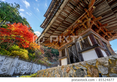 Tsukasakiji 85524877